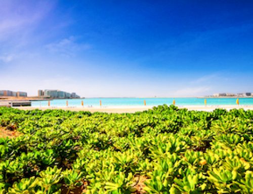 Best Properties in Al Raha Beach
