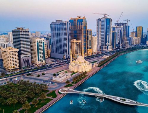 Profitable Investment Areas in Sharjah for 2024