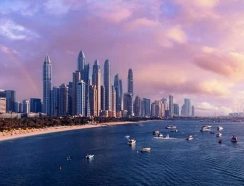 Dubai’s Real Estate and Education Revolution: Major Plans Reveal for 2024 and Beyond