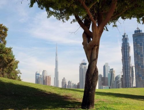 Guide to Sustainable and Green Housing Projects in the UAE