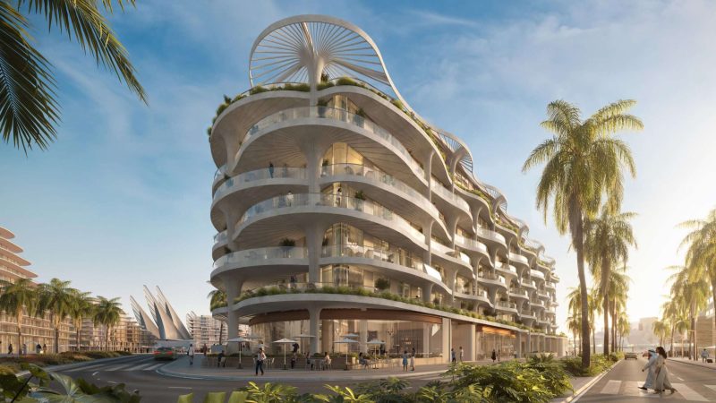 mamsha palm 4
