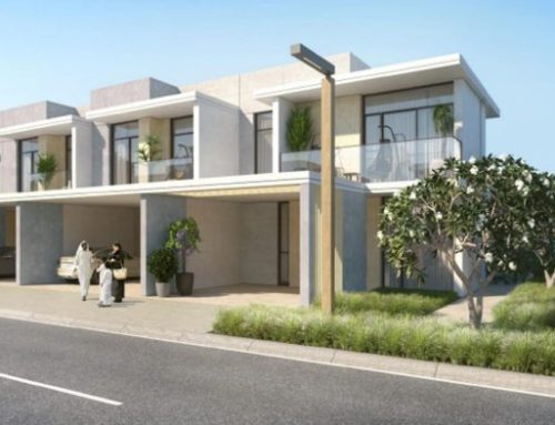 Ruba in Dubailand