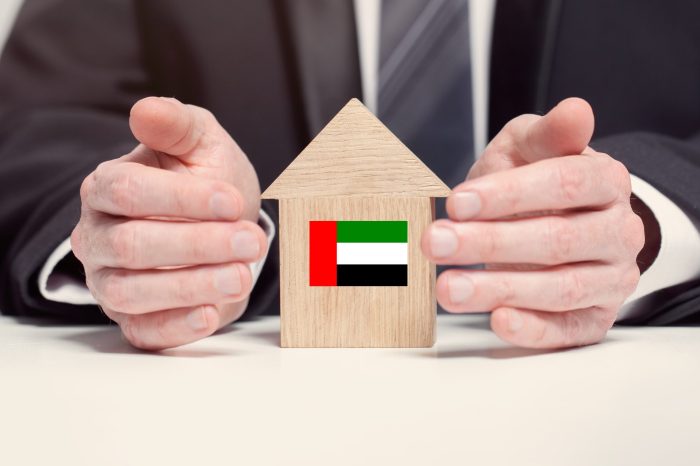 Businessman,Hand,Holding,Wooden,Home,Model,With,Uae,Flag.,Insurance