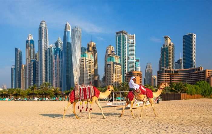 View,On,Dubai,Marina,,Camels,And,Famous,Jumeirah,Beach,In