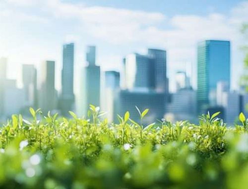 Why Sustainable Real Estate Projects Are Growing in the UAE