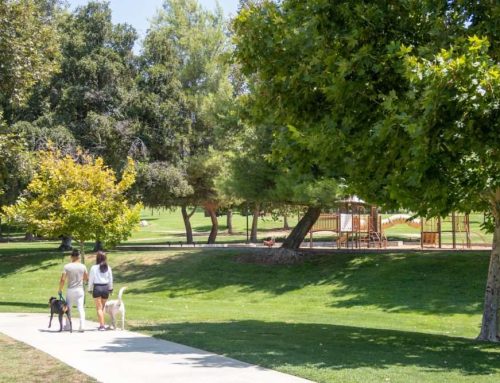 Pet-Friendly Residential Areas in Abu Dhabi